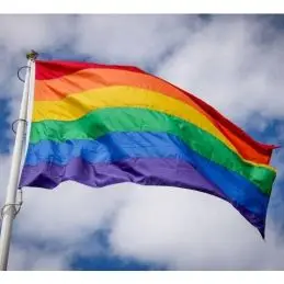 Regnbue flag 225 cm til 7-9 m. flagstang - 