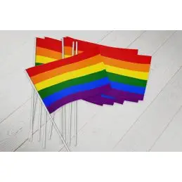 Regnbue vifteflag i papir (20x27 cm) - 