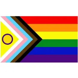 Progressivt Regnbue flag i stof (90x150 cm) - Regnbue / Pride flag