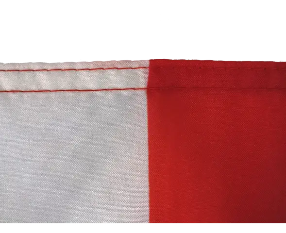 Wales Flagge 30 X 45 Cm – Polyester, Siebdruck, Wasser- & Sonnenbeständig, Mit Hohlsaum